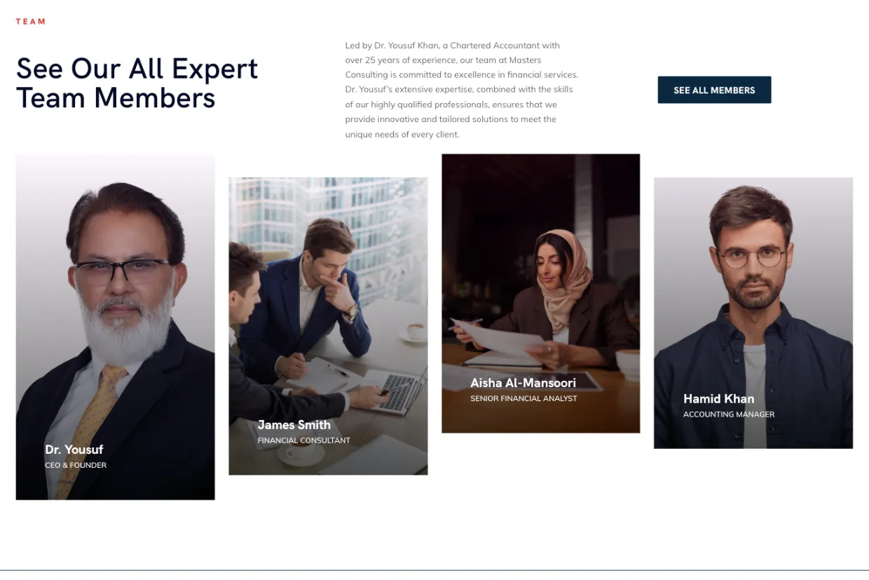 Masters Consulting screenshot 5